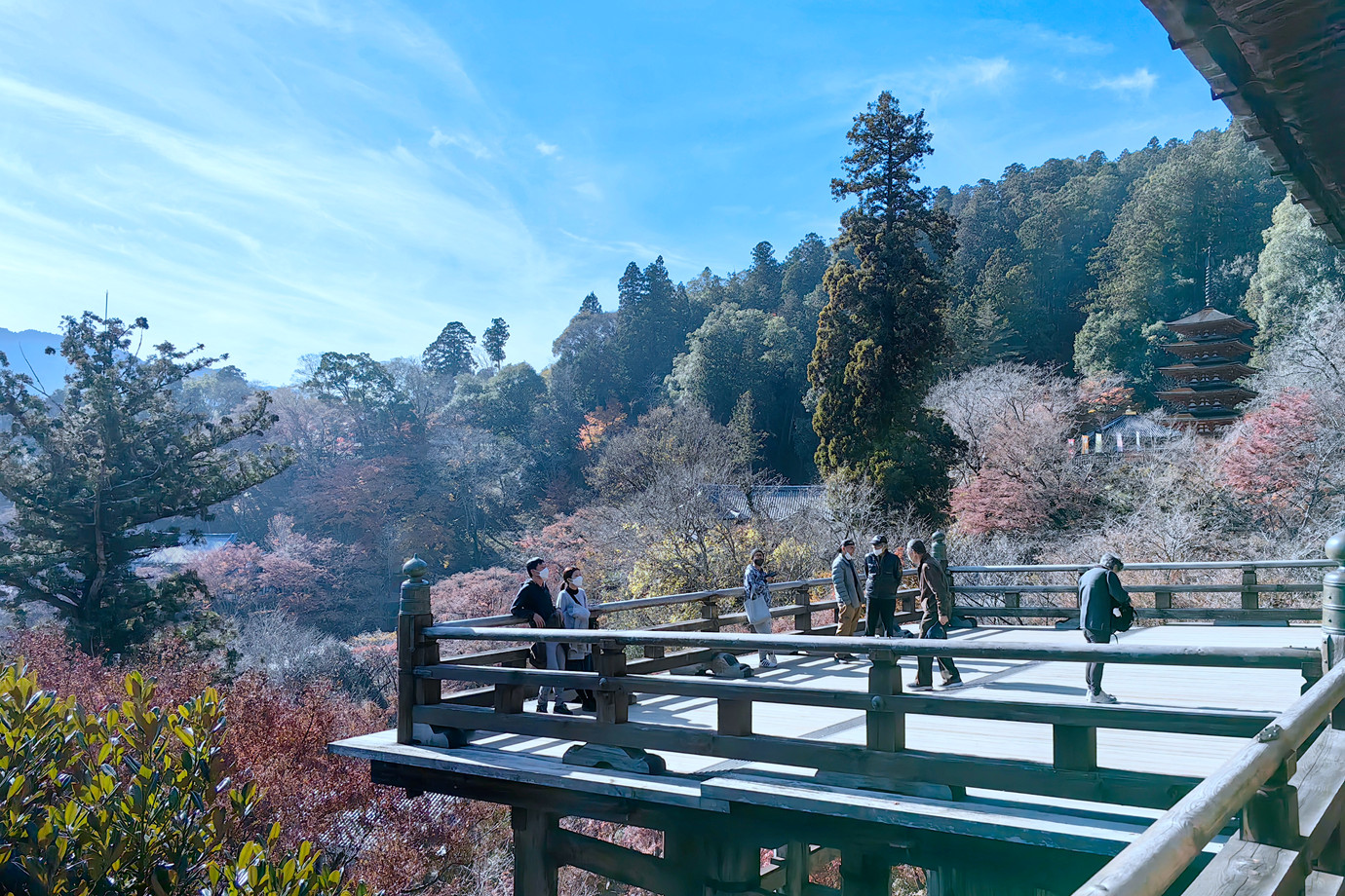 西國三十三所-豊山長谷寺